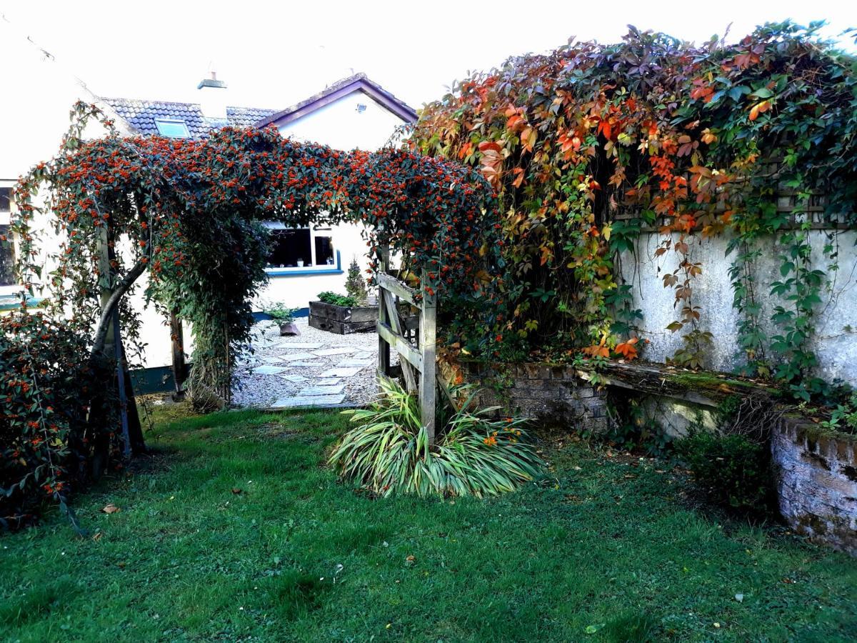 Country Home Tara Rathfeigh Kültér fotó